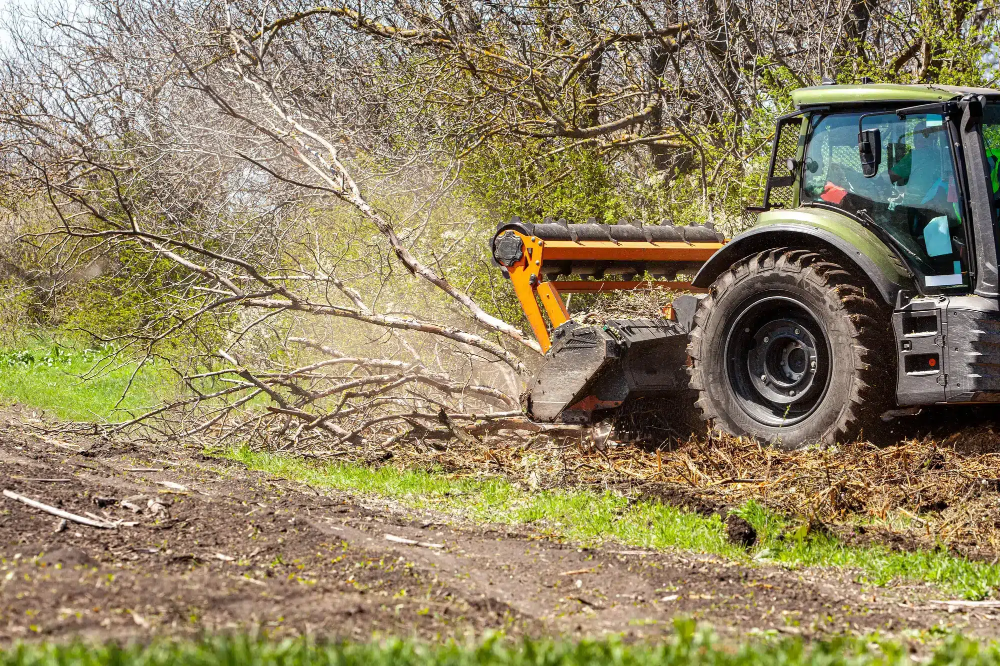 Meeks Land Management tractor forestry mulching brush and trees near Fort Payne, AL