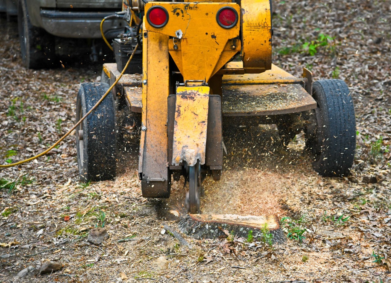 Meeks Land Management stump grinder attachment clearing a stump near Fort Payne, AL