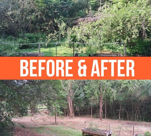 Before and after land clearing results by Meeks Land Management near Fort Payne, AL