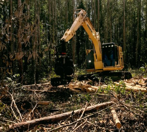 land-clearing-09