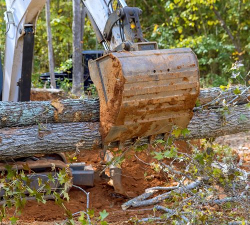 land-clearing-50