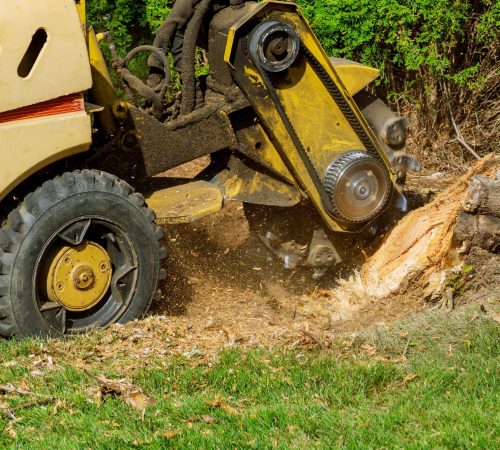 land-clearing-56
