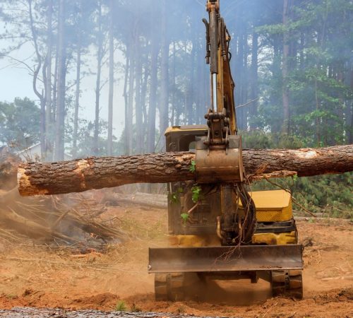 Excavator handling a felled pine tree on a land clearing site near Fort Payne, AL